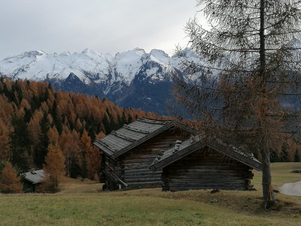 Dolomites B&B - Suites, Apartments And Spa Tesero Kültér fotó